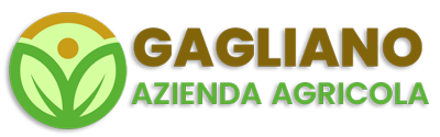 logo-400